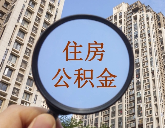 上海退休后查不到公积金明细了吗（退休后公积金查询不到原因）